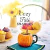 Customized European Spa Facial + Pumpkin Spice Hand, Foot & Back Treatment